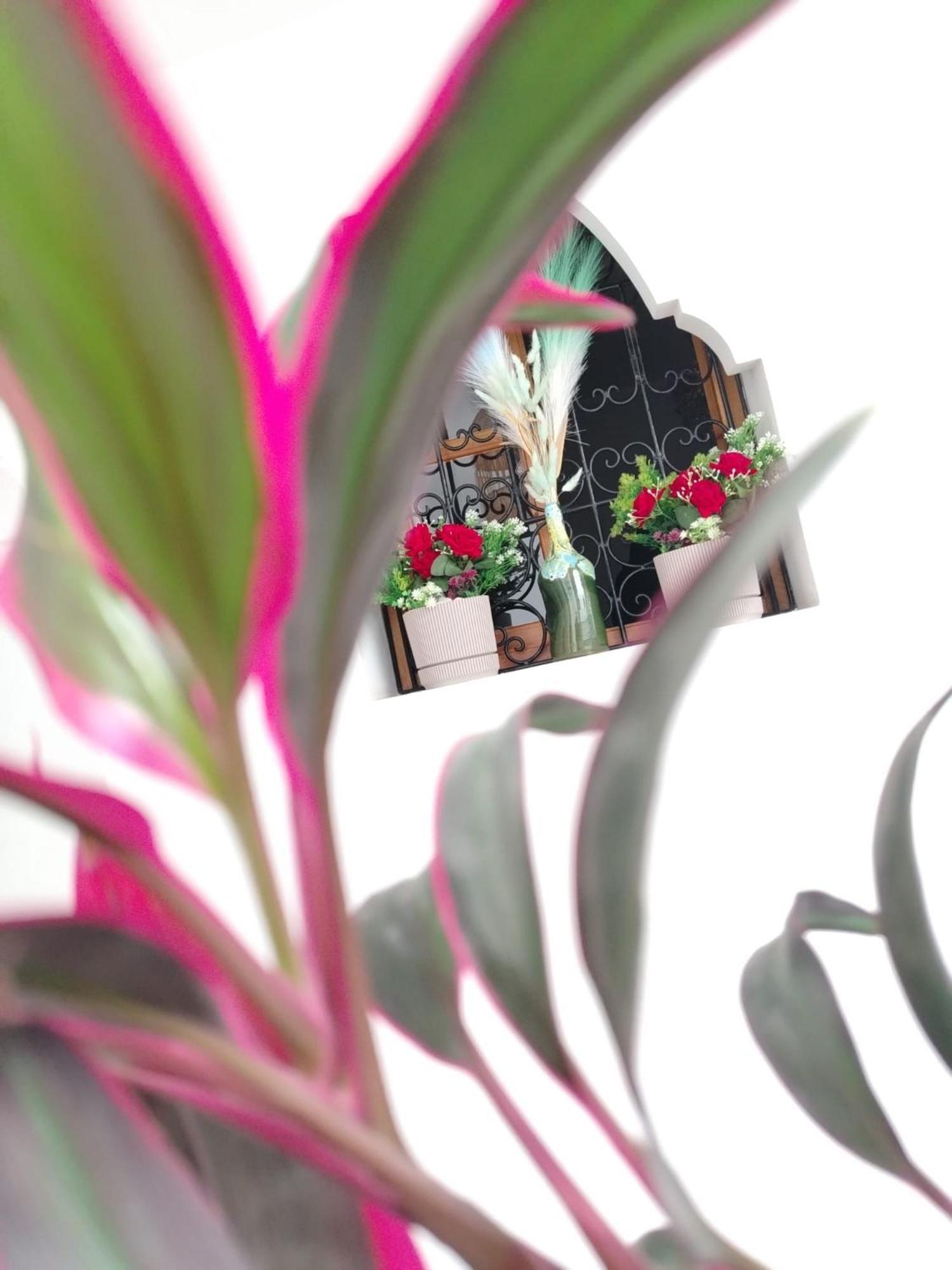Riad & Spa Sous Le Soleil Chez Jerome & Pamela Suite Essaouira Μαρακές Εξωτερικό φωτογραφία